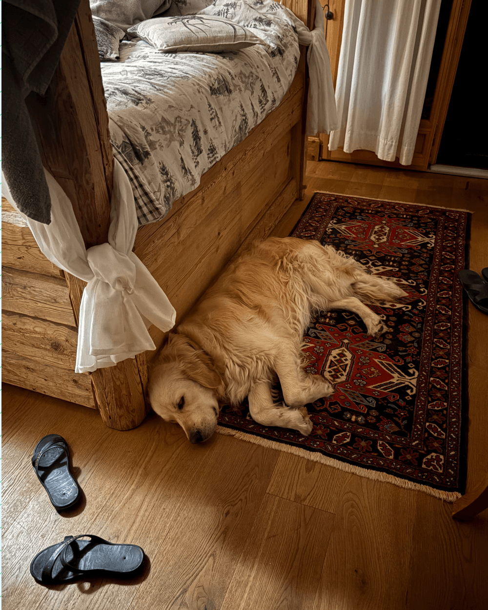 Photo source de Yuki pour Repos de l'aventurier